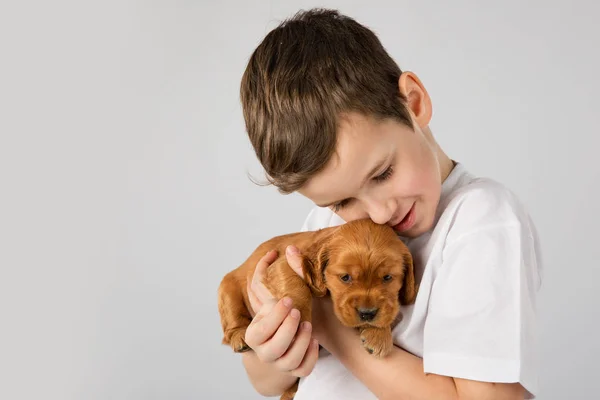 Мальчик с красным щенком изолирован на белом фоне. Дружба домашних животных — стоковое фото