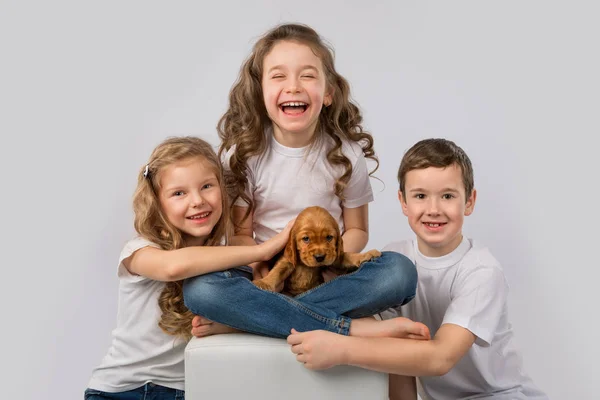 Crianças pet amizade conceito - crianças segurando cachorro vermelho isolado no fundo branco — Fotografia de Stock