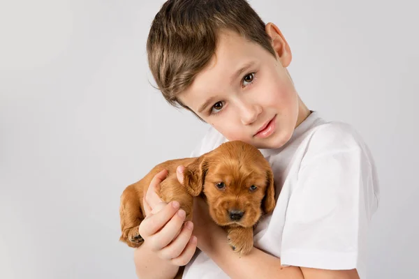 Концепция дружбы с домашними животными - Портрет маленького мальчика с красным щенком на белом фоне — стоковое фото