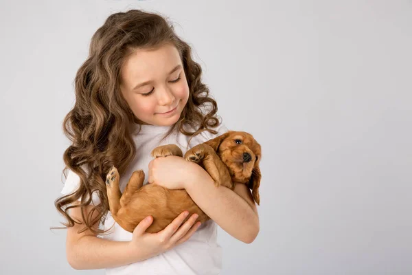 Bambini pet amicizia concetto - bambina con cucciolo rosso isolato su sfondo bianco — Foto Stock