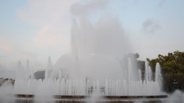 Agua de la fuente — Vídeos de Stock