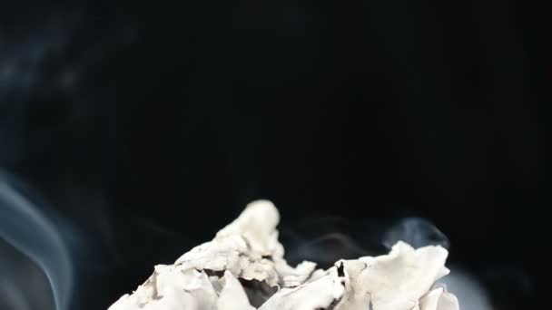 暖炉での紙の粉砕 — ストック動画