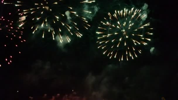 Feux d'artifice colorés explosant dans le ciel nocturne — Video