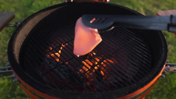 Calamars grillent sur les charbons rouges — Video