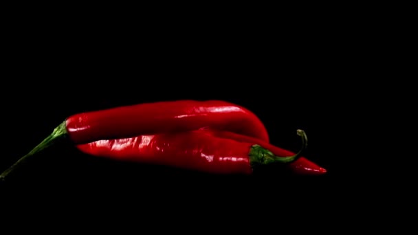 Papryka chili — Wideo stockowe