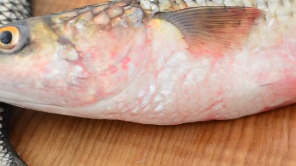 Pescado sobre la mesa sobre una tabla de madera — Vídeo de stock