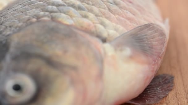 Poisson sur la table sur une planche en bois — Video