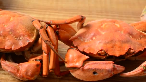 Oranje gekookte krabben — Stockvideo