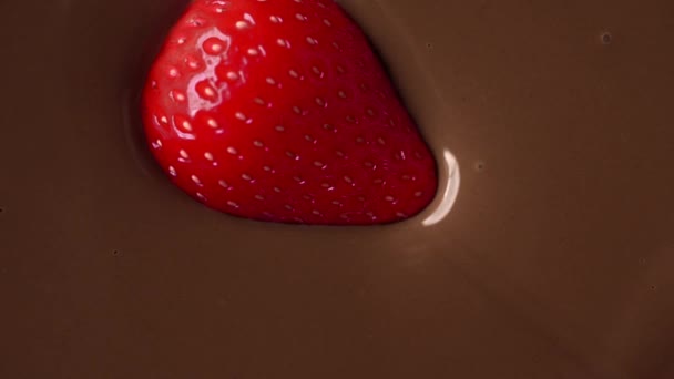 Macro video of the ripe strawberry, that drowns in the melted chocolate — Stock Video