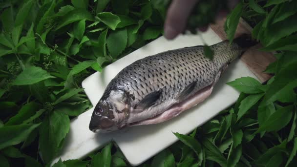 Peixe de carpa cru encontra-se no tabuleiro nos verdes — Vídeo de Stock