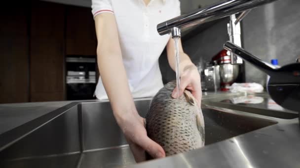 Повар моет рыбу повар готовит рыбу для приготовления пищи — стоковое видео