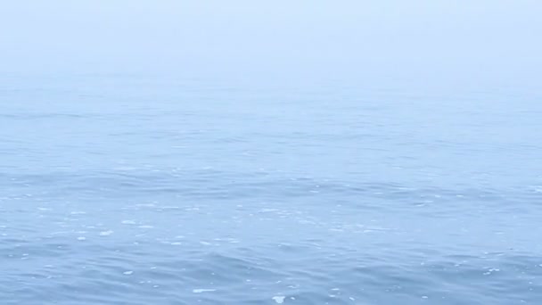 Nebel auf dem Meer — Stockvideo