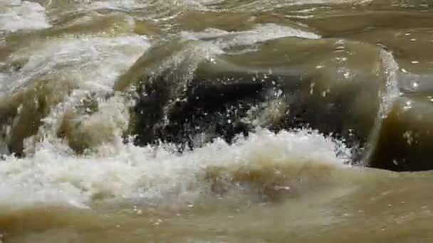Лісова річка з сильним струмом — стокове відео