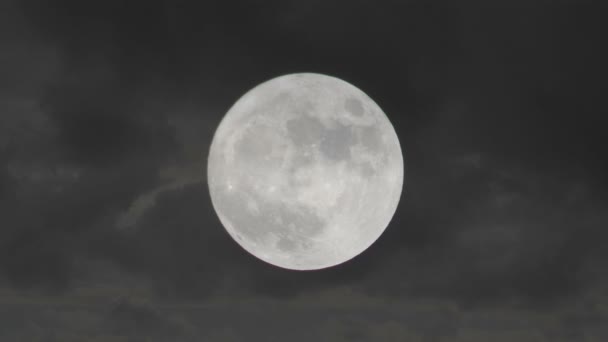 Luna llena saliendo — Vídeo de stock