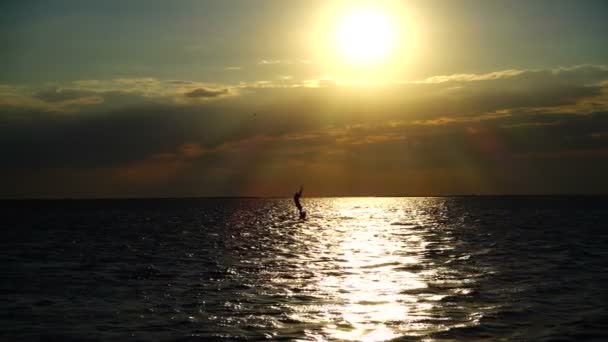 Kite surfer sailing on the sea at sunset — Stock Video