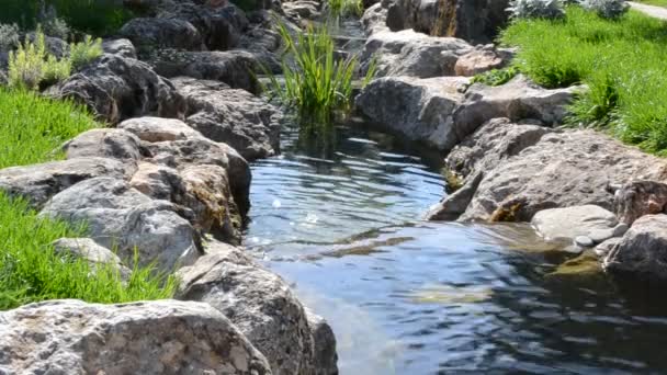 Corriente del río — Vídeos de Stock