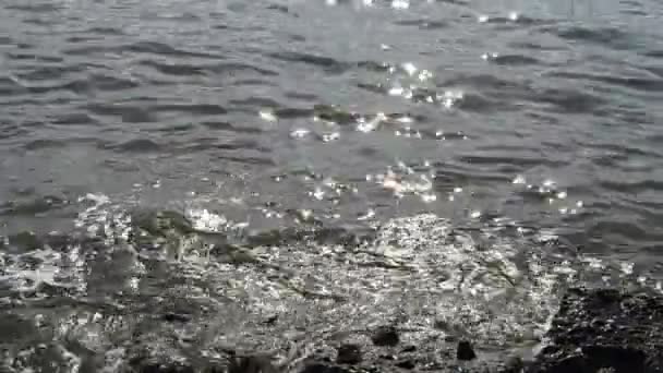 Plage de mer — Video