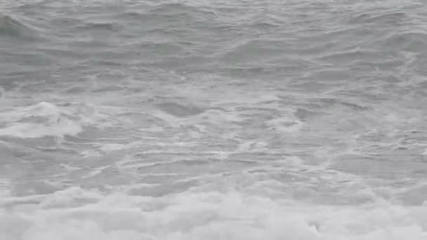 Plage de mer — Video