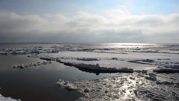 Uitzicht op een bevroren rivier — Stockvideo