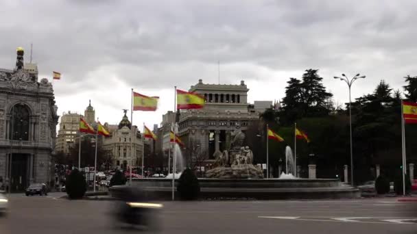 Στο σιντριβάνι Cibeles στη Μαδρίτη — Αρχείο Βίντεο