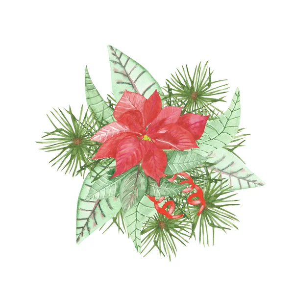 Akvarel Ručně Malované Přírody Zimní Kytice Kompozice Červeným Květ Poinsettia — Stock fotografie