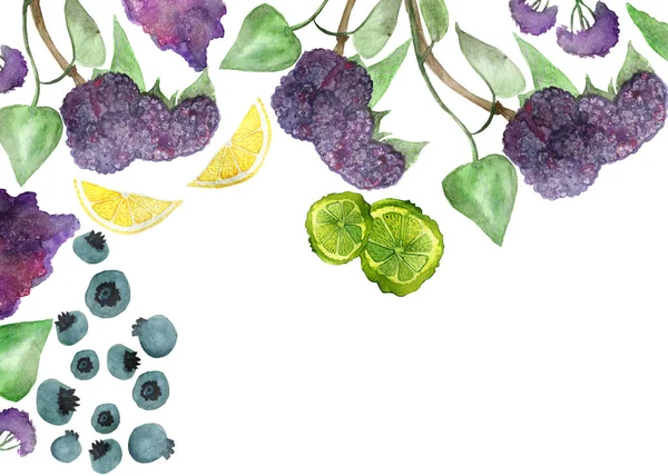 紫色のライラックと緑の葉 ブルーベリー ライムと黄色のレモンと水彩手描きの自然組成フレーム果物や植物のデザイン要素のための白い背景に — ストック写真