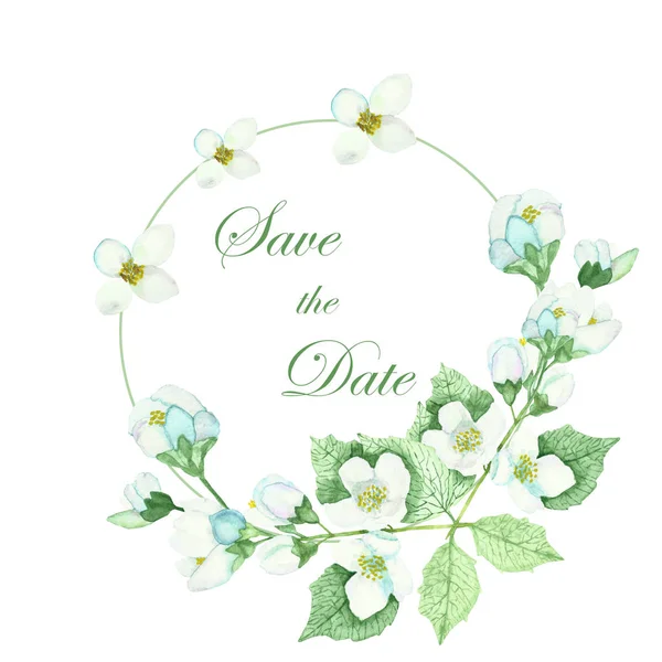 Watercolor Hand Painted Circle Frame White Jasmine Flowers Green Leaves — Stockfoto