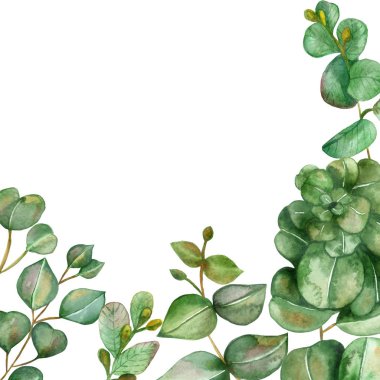 Suluboya el boyama doğa bitkileri köşesi çerçeve farklı yeşil okaliptüs yaprakları ve dalları ile davetiyeler ve metin için alan ile tebrik kartları için beyaz arka plan