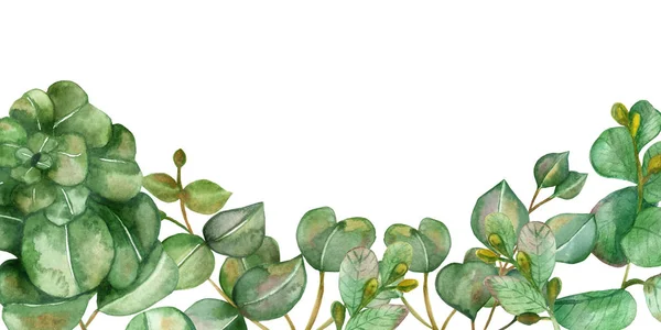 水彩画手绘自然植物构图横幅与不同的绿色桉树叶和分枝白色背景的邀请函和贺卡与文字空间 — 图库照片