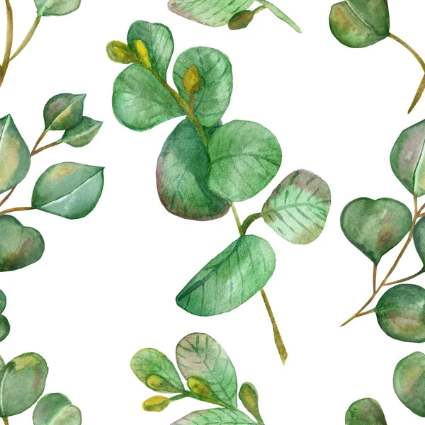 Akvarel Ručně Malované Přírodní Rostliny Bezešvý Vzor Zeleně Různé Eukalyptové — Stock fotografie