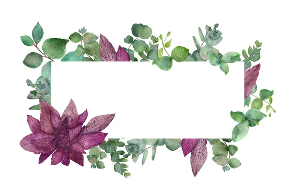 緑と銀のユーカリの枝の水彩フレーム 白の背景に隔離されたブルゴーニュアマランスの花や葉と 熱帯植物 薬用植物の植物図 — ストック写真
