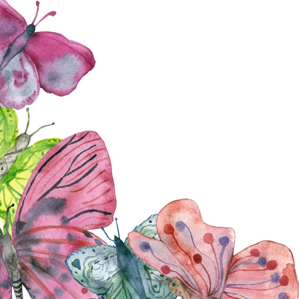 Watercolor banner of colorful butterflies, isolated on white background. Illustration. — ストック写真