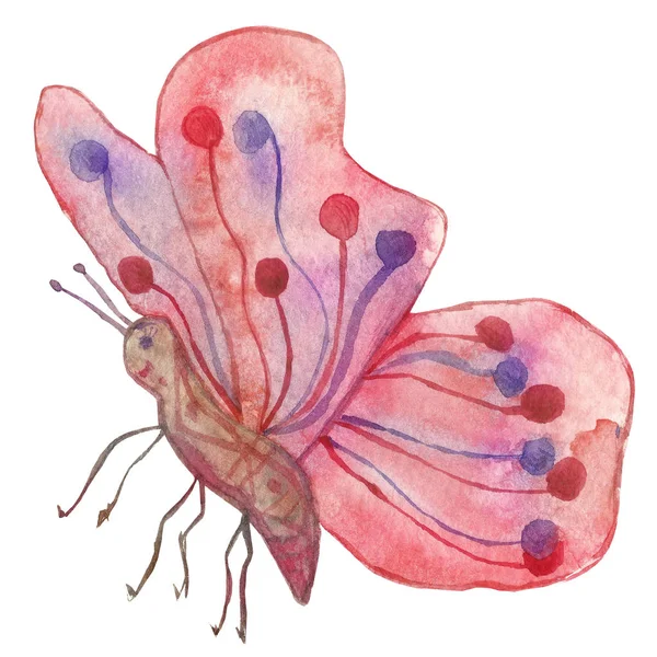 Pink watercolor butterfly, isolated on white background. Illustration. — ストック写真