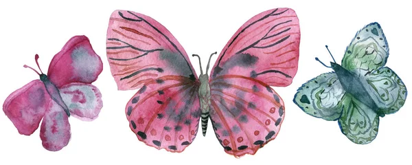 Banner Acuarela Mariposas Colores Aislado Sobre Fondo Blanco Ilustración Pintado —  Fotos de Stock