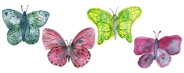 Four watercolor bright colorful butterflies on a white background. — ストック写真