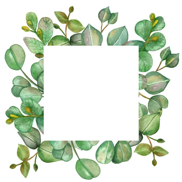 緑のユーカリの葉と枝の花束の白い背景に招待状とテキストのためのスペースとグリーティングカードのための水の色の手描きの自然2乗の植物フレーム — ストック写真