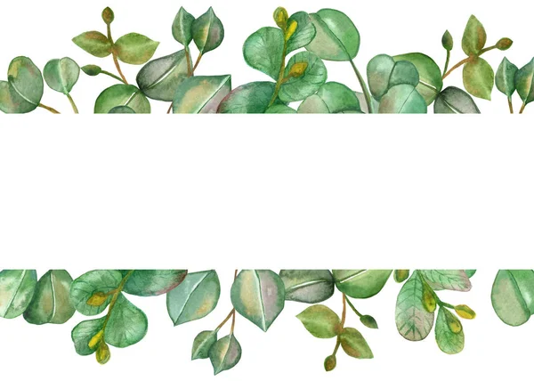 Aquarela Pintados Mão Plantas Natureza Banner Frame Com Verde Folhas — Fotografia de Stock