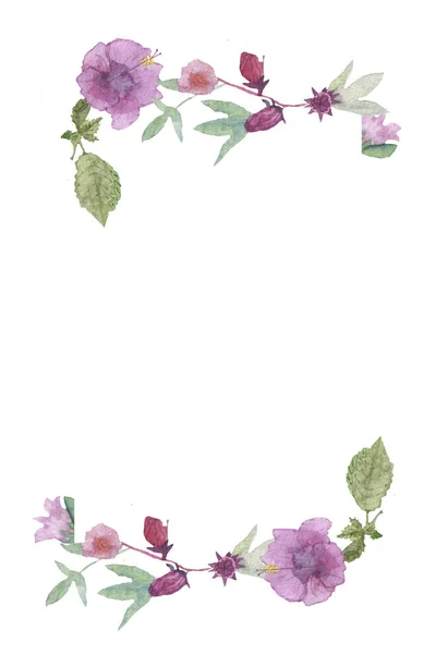 Hibiscus bloemen en vruchten met de hand geschilderd met aquarel op witte achtergrond. — Stockfoto