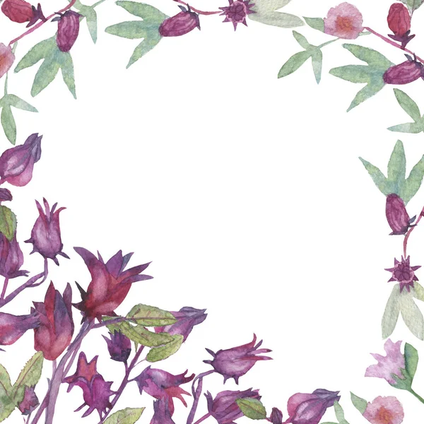 하얀색 바탕에 수채화를 손으로 그린 히비스커스 꽃 과 과일. — 스톡 사진