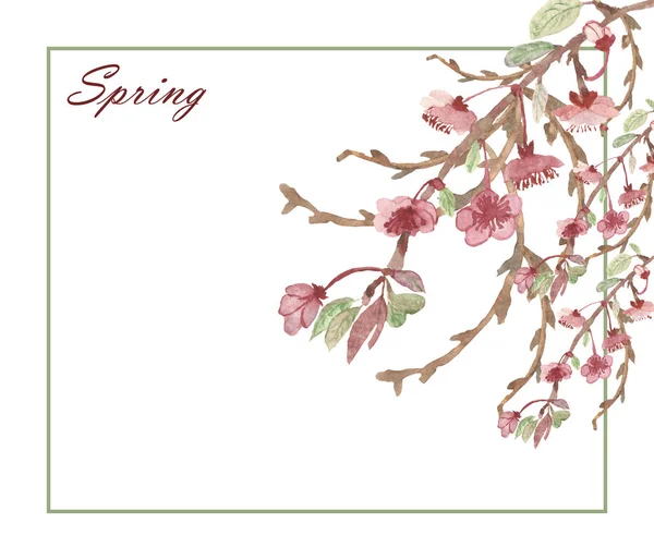 水彩画手彩色は 茶色い枝やピンクの花 緑の葉が白い背景に二角形の枠と春のテキストが招待と挨拶のために描かれています — ストック写真
