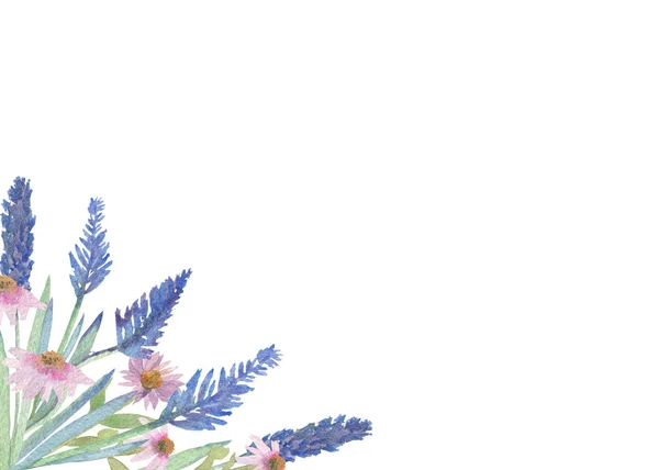 손에 색 칠 한 물감 색깔 손은 구석에 분홍색 echinacea angustifolia, 보라색 라벤더 꽃, 녹색 잎, 흰색 배경에 있는 가지들로 구성되어 초대장 과 문자를 위한 공간으로 인사말을 한다. — 스톡 사진