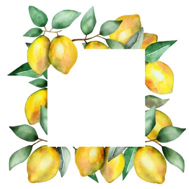 Suluboya el yazısı doğanın kenarlık çerçevesini sarı turunçgil limonu, kahverengi dallar ve yeşil yapraklarla boyadı. Davetiyeler ve metin için yeri olan tebrik kartları için.