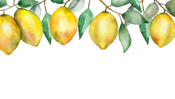 Aquarela Pintado Mão Natureza Citrinos Borda Banner Com Frutas Limão — Fotografia de Stock