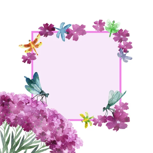 Composição Natureza Pintada Mão Aquarela Com Flores Rosa Beladona Buquê — Fotografia de Stock