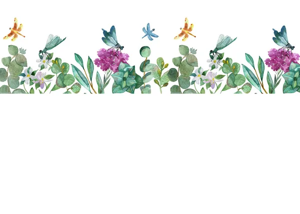 Watercolor Hand Painted Nature Floral Banner Line Composition Green Eucalyptus — 스톡 사진