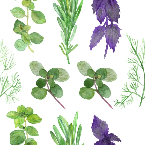 Watercolor Hand Painted Nature Herbal Plants Seamless Pattern Purple Basil — 스톡 사진