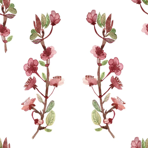 Akvarell Handmålad Natur Blommig Sömlös Mönster Med Äpple Blomma Rosa — Stockfoto
