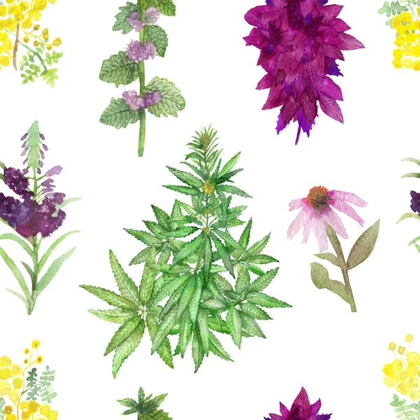 Watercolor Hand Painted Nature Herbal Plants Seamless Pattern Green Hemp — 스톡 사진