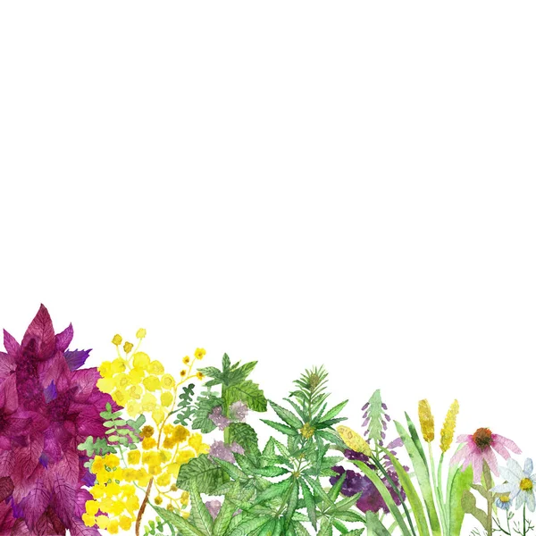 Aquarela Pintados Mão Natureza Floral Verde Composição Buquê Com Amaranto — Fotografia de Stock