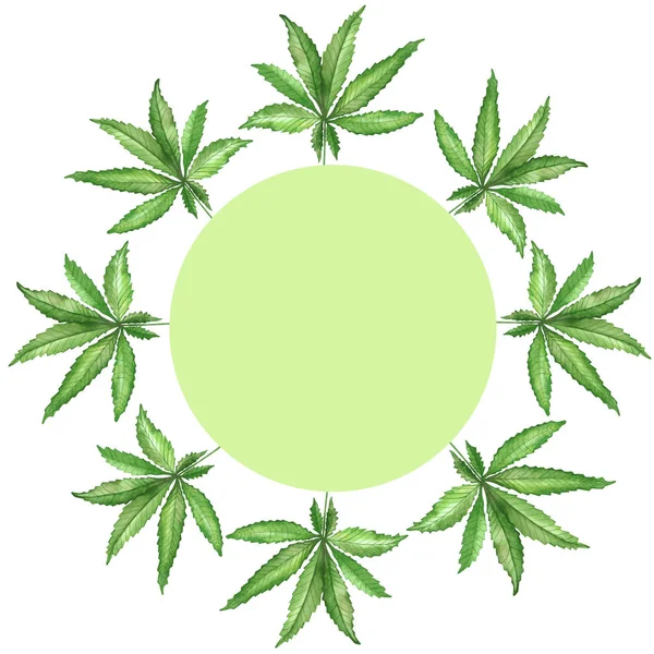 水彩画手绘自然草本植物圆形框架构图 枝叶绿色 背景白色 内部绿色圆形 用于请柬和贺卡 — 图库照片